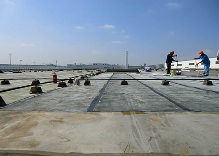 上海化學(xué)建材協(xié)會(huì)防水材料及技術(shù)分會(huì)成立，公司董...
